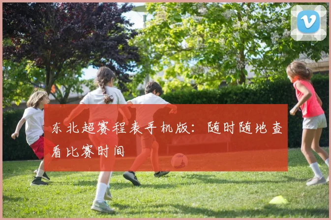东北超赛程表手机版：随时随地查看比赛时间