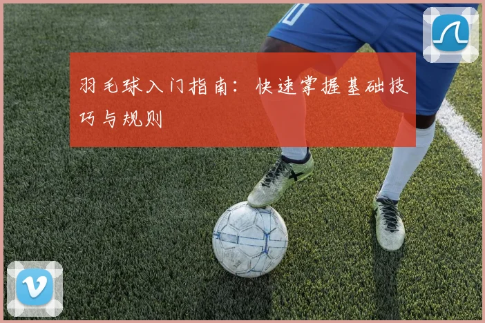 羽毛球入门指南：快速掌握基础技巧与规则