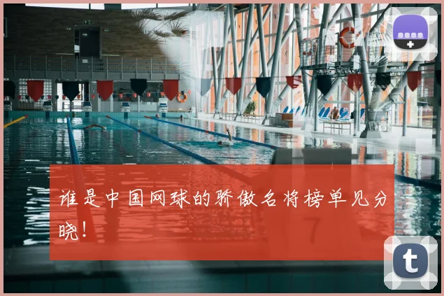 谁是中国网球的骄傲名将榜单见分晓！