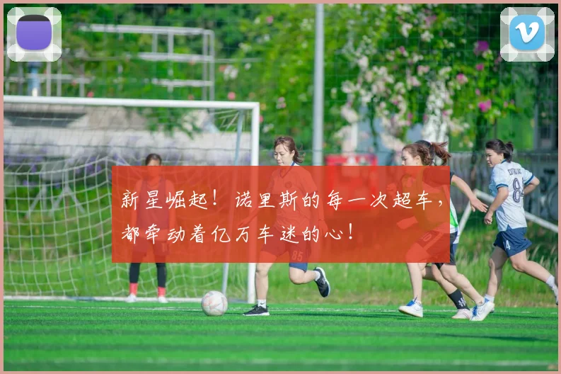 新星崛起！诺里斯的每一次超车，都牵动着亿万车迷的心！