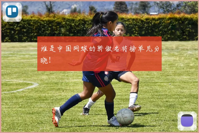 谁是中国网球的骄傲名将榜单见分晓!