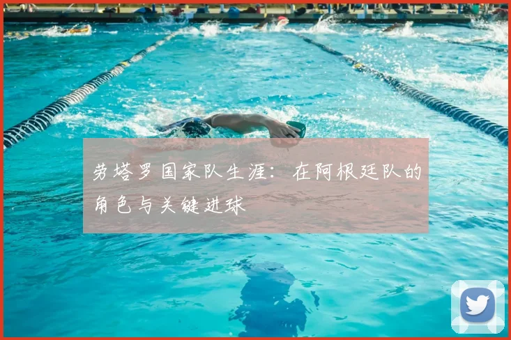 劳塔罗国家队生涯：在阿根廷队的角色与关键进球