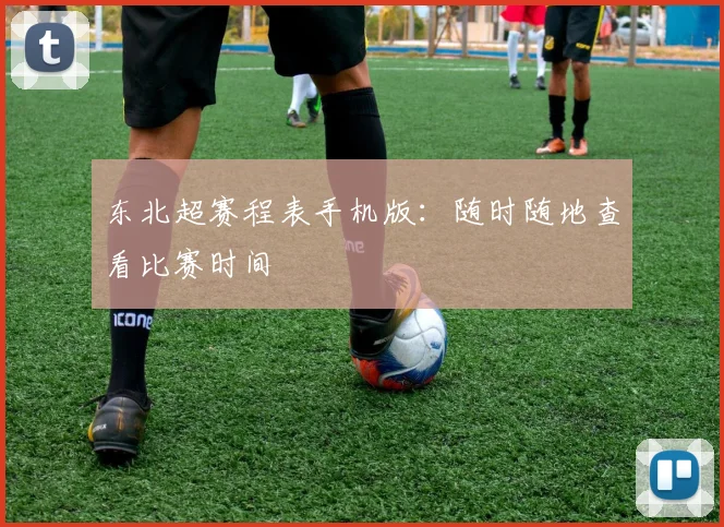 东北超赛程表手机版:随时随地查看比赛时间